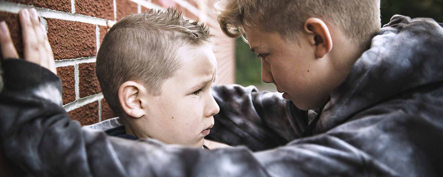 Add Learners Plus Bullies and COVID-19