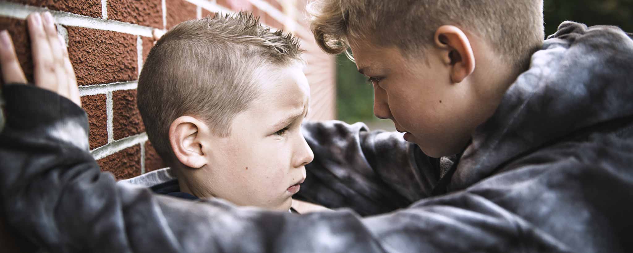 'Add Learners Plus Bullies and COVID-19'
