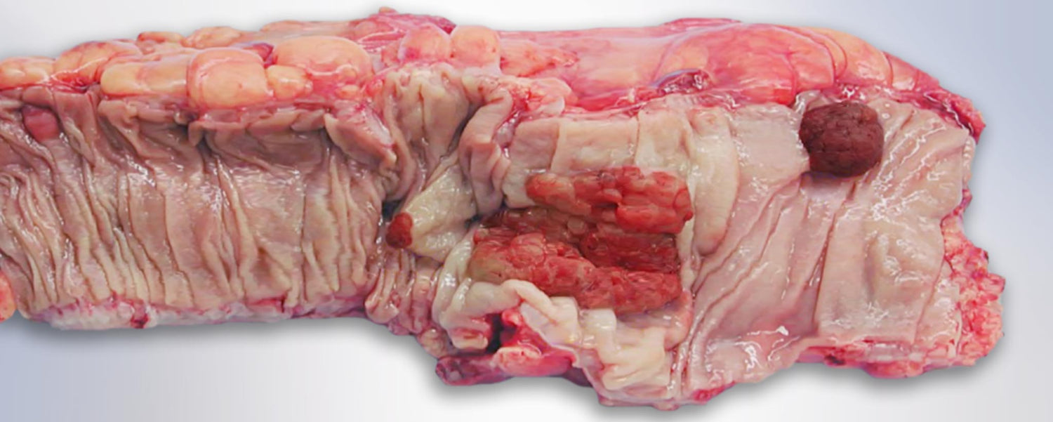 Eat Healthy From the Inside Out