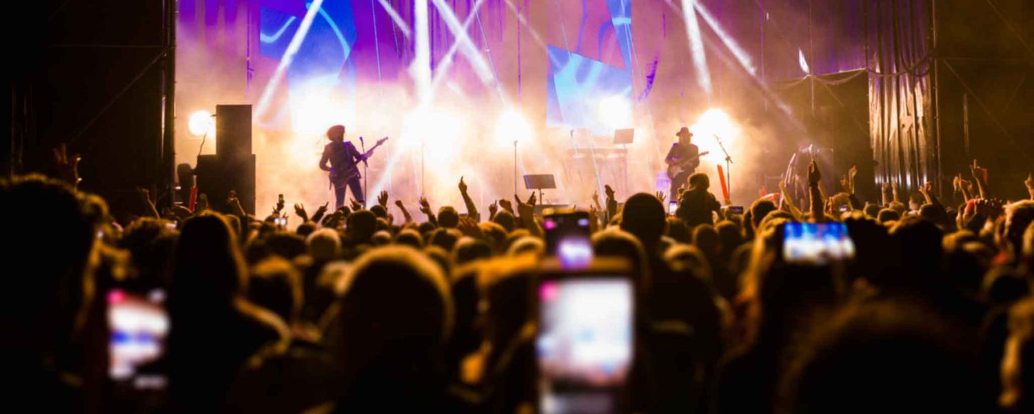 Crowd of concert goers