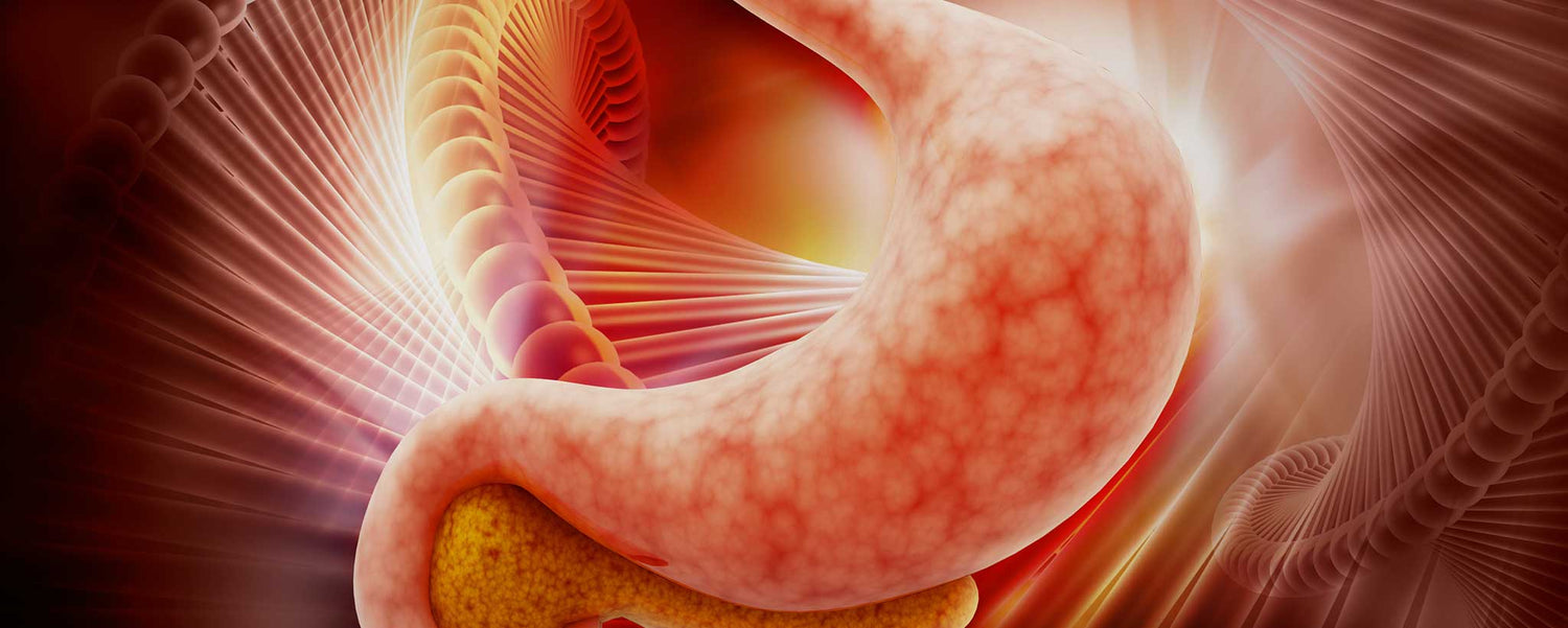 Diseases of the Digestive System Posters