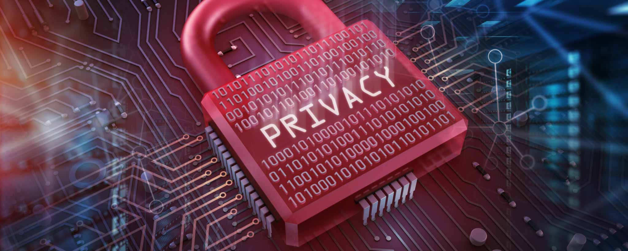 'Red lock with 'PRIVACY' text on a digital background.'