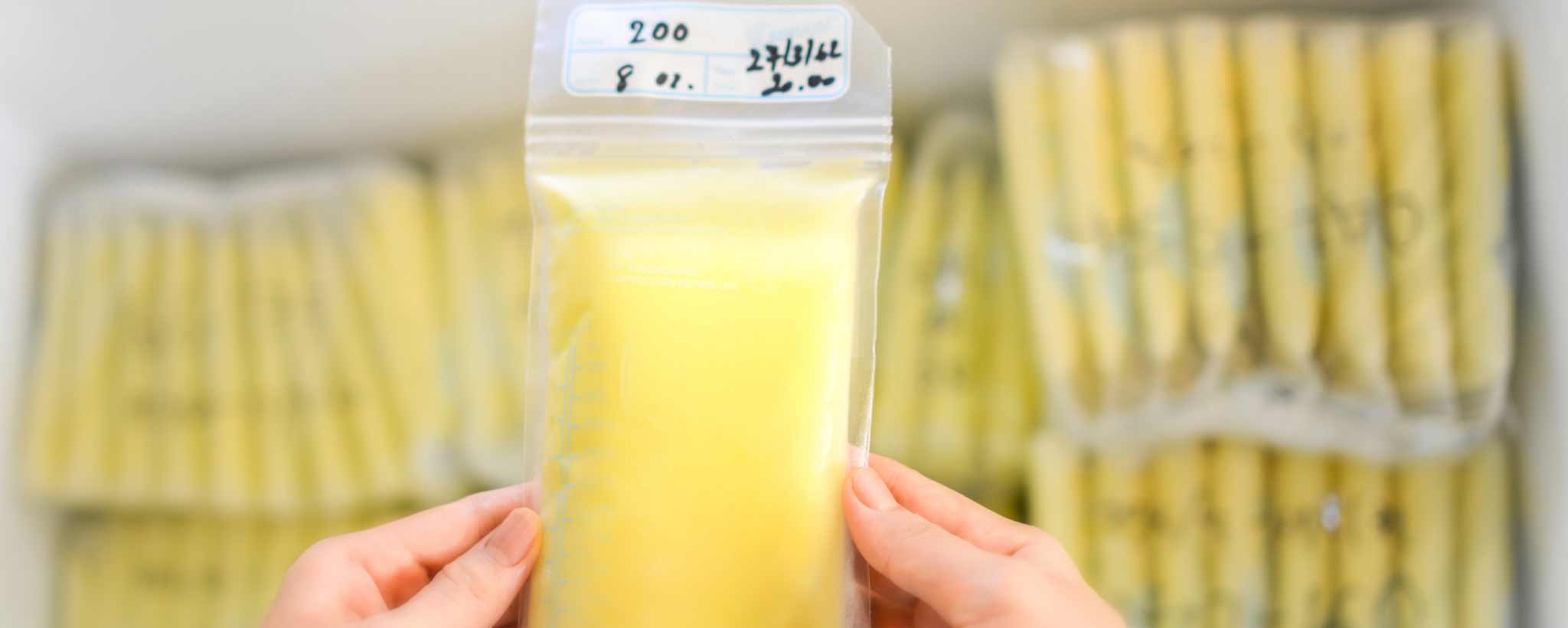 'A supply of frozen breast milk packages.'