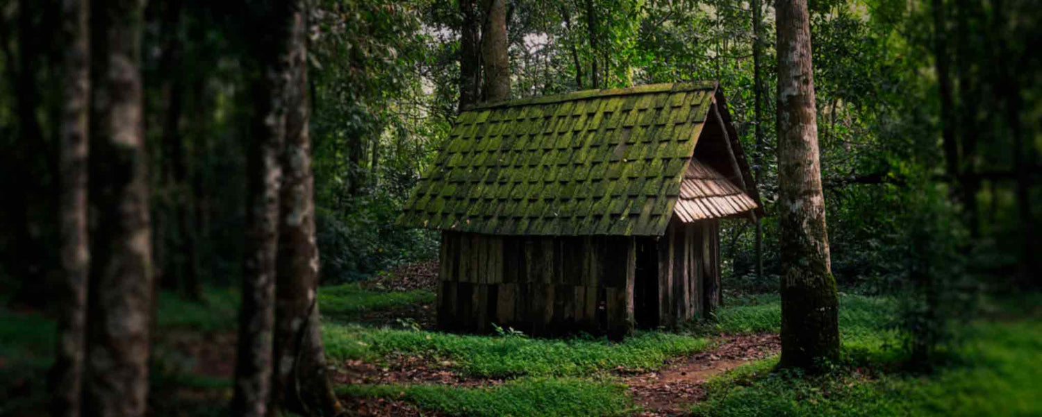 A dilapidated wooden hut in a forest.