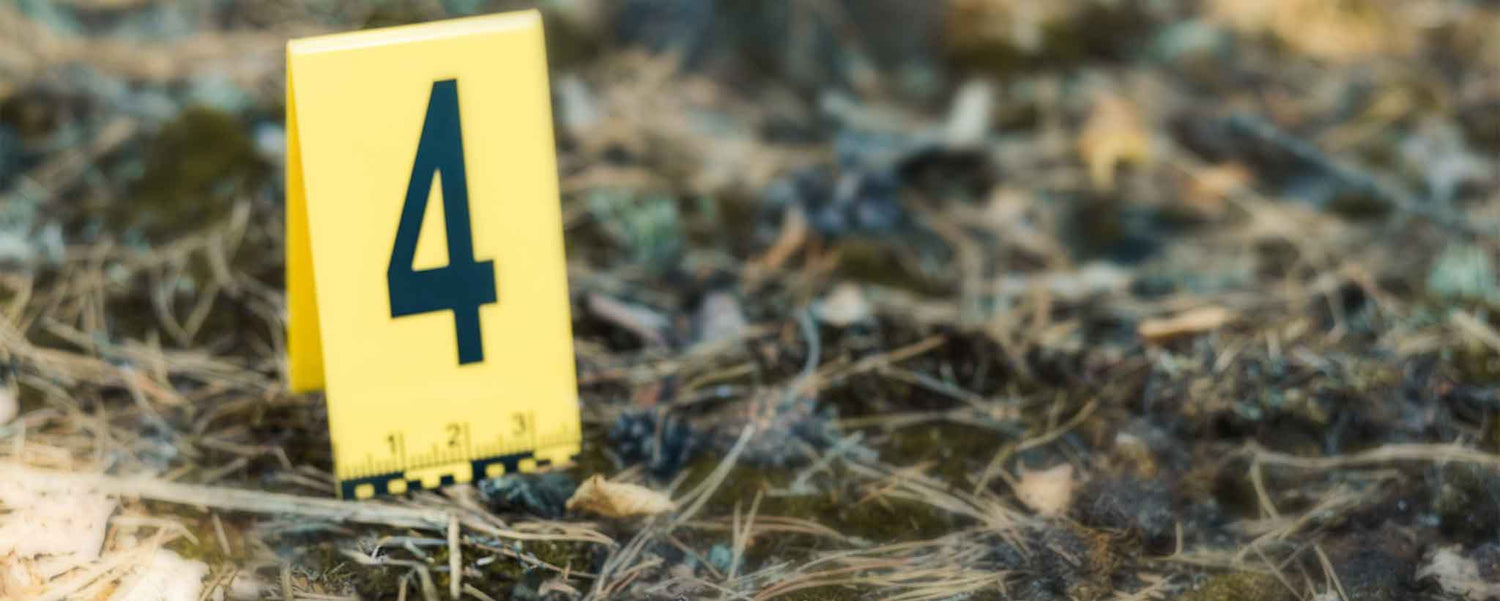 A yellow evidence marker on the outside ground.