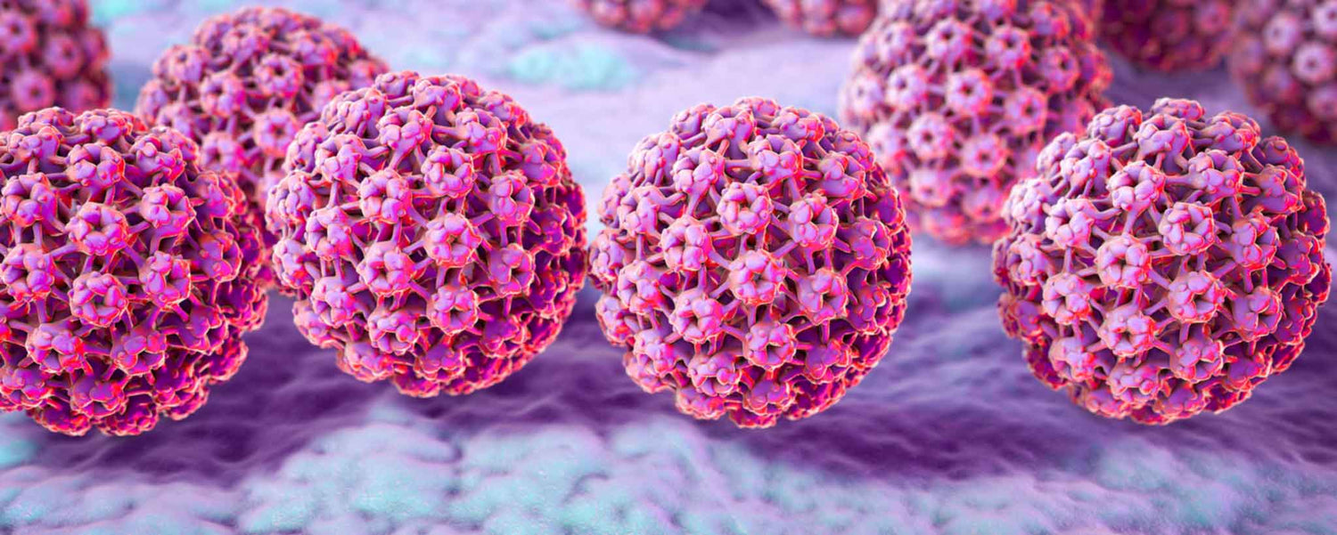 The Battle Against HPV