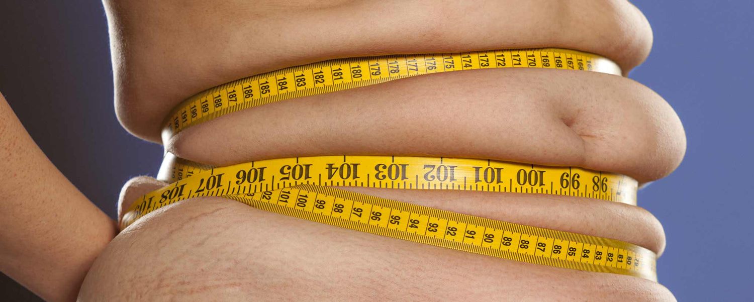 How Do People Become Morbidly Obese?