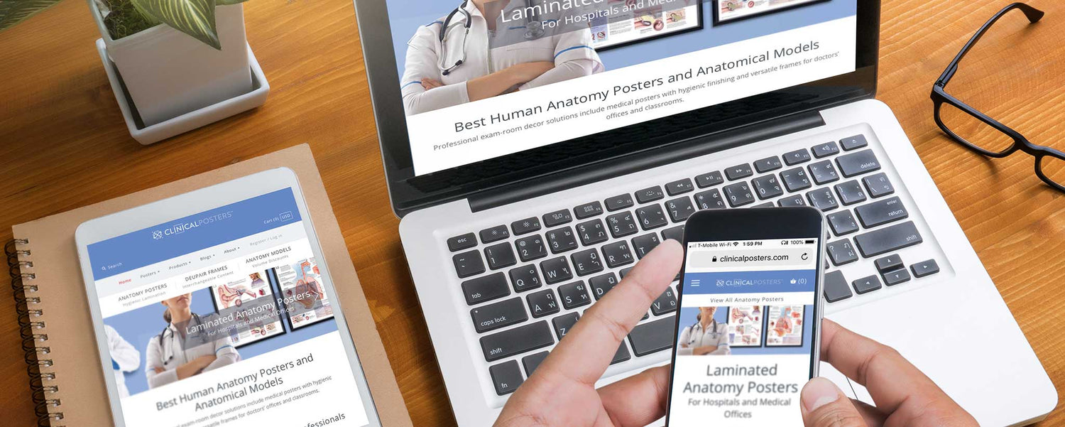 How to Build a Responsive Site Layout