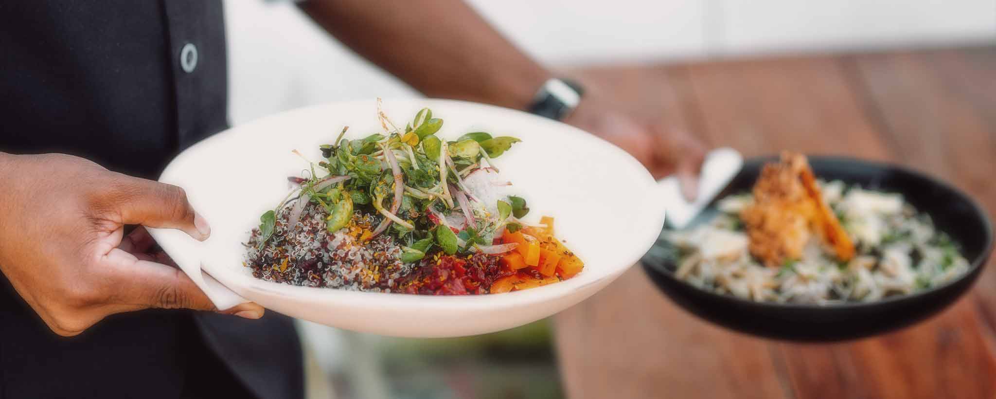 'Waiter serving healthy salad'