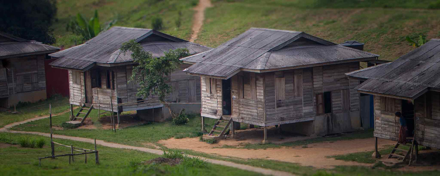 A tow of thatched-roof wooden huts.