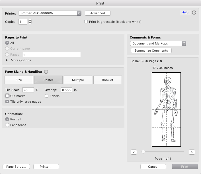 Adobe Acrobat Print Dialog Box