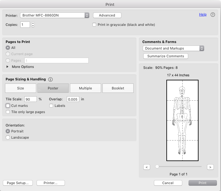 Adobe Acrobat Print Dialog Box