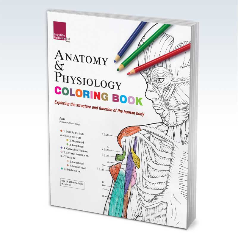 http://clinicalposters.com/cdn/shop/products/anatomy-coloring-book-cover.jpg?v=1629911496&width=2048