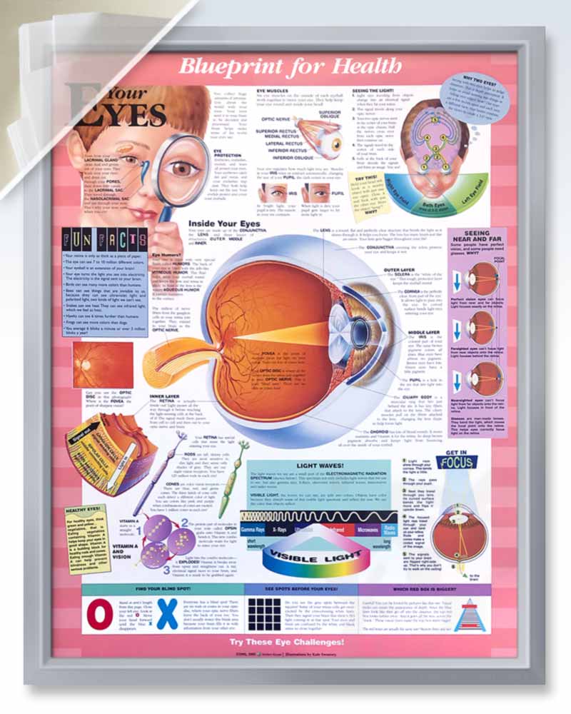 Silver Pocket Frame