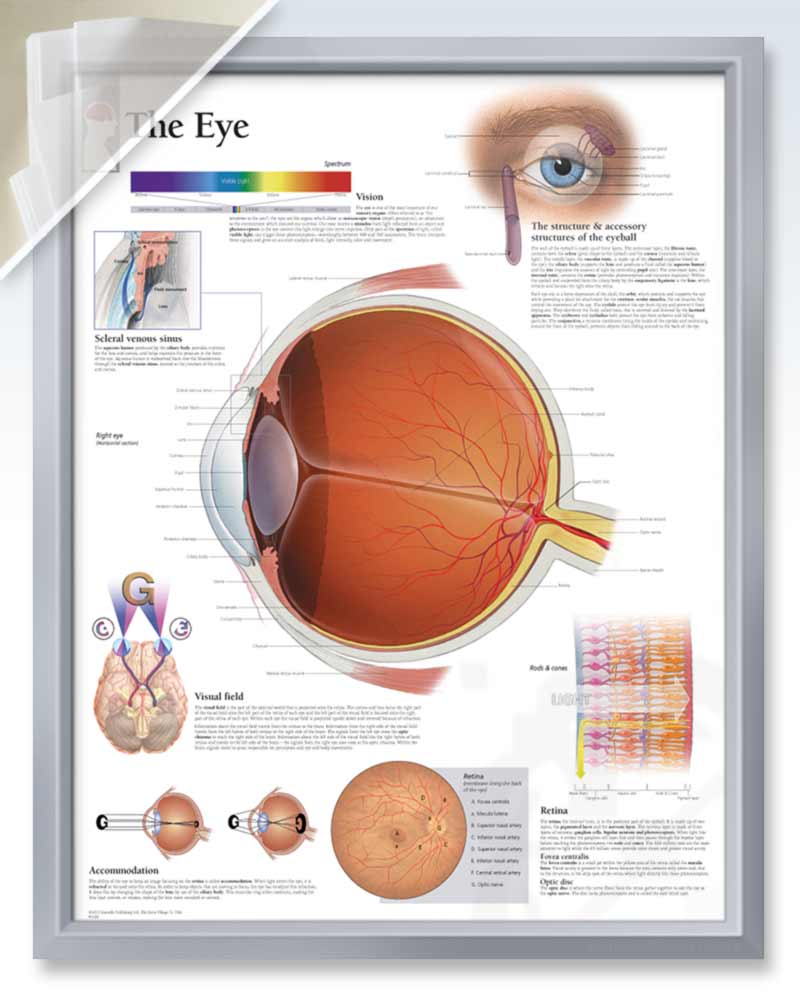 Silver Pocket Frame