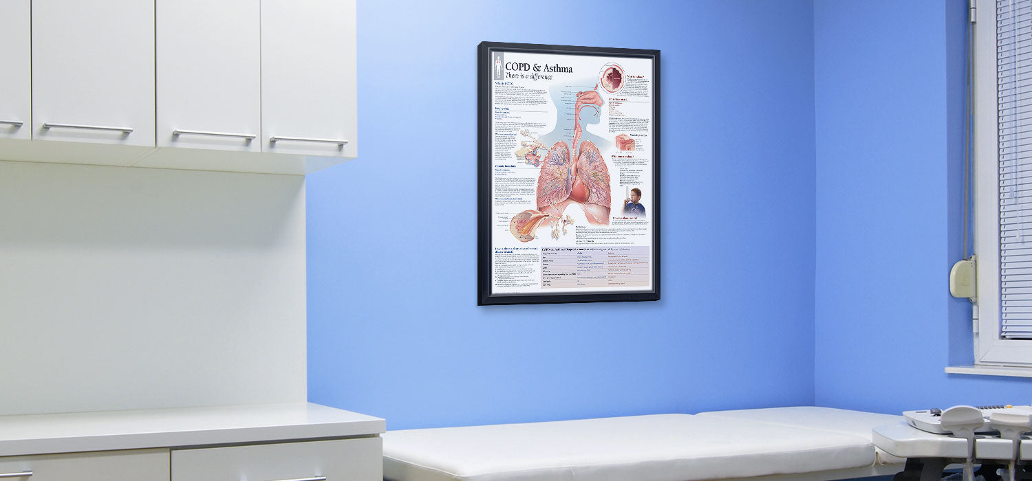 COPD & Asthma Chart 22x28