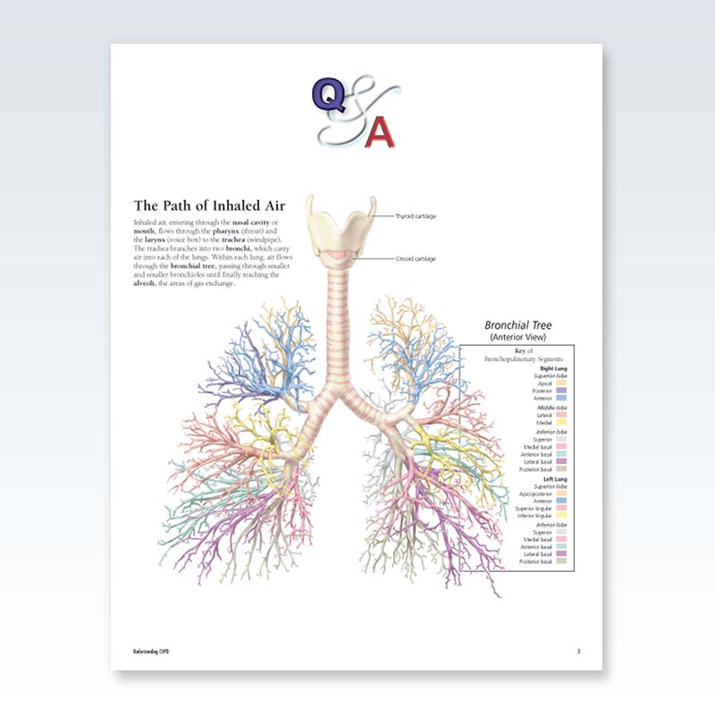 Understanding COPD Flip Chart Q+A