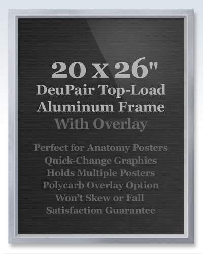Standard Silver Deupair Pocket Frame