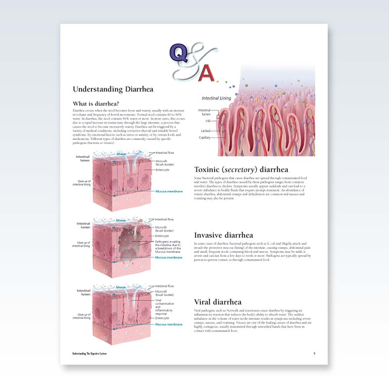 Understanding Digestive System Flip Chart Page 9