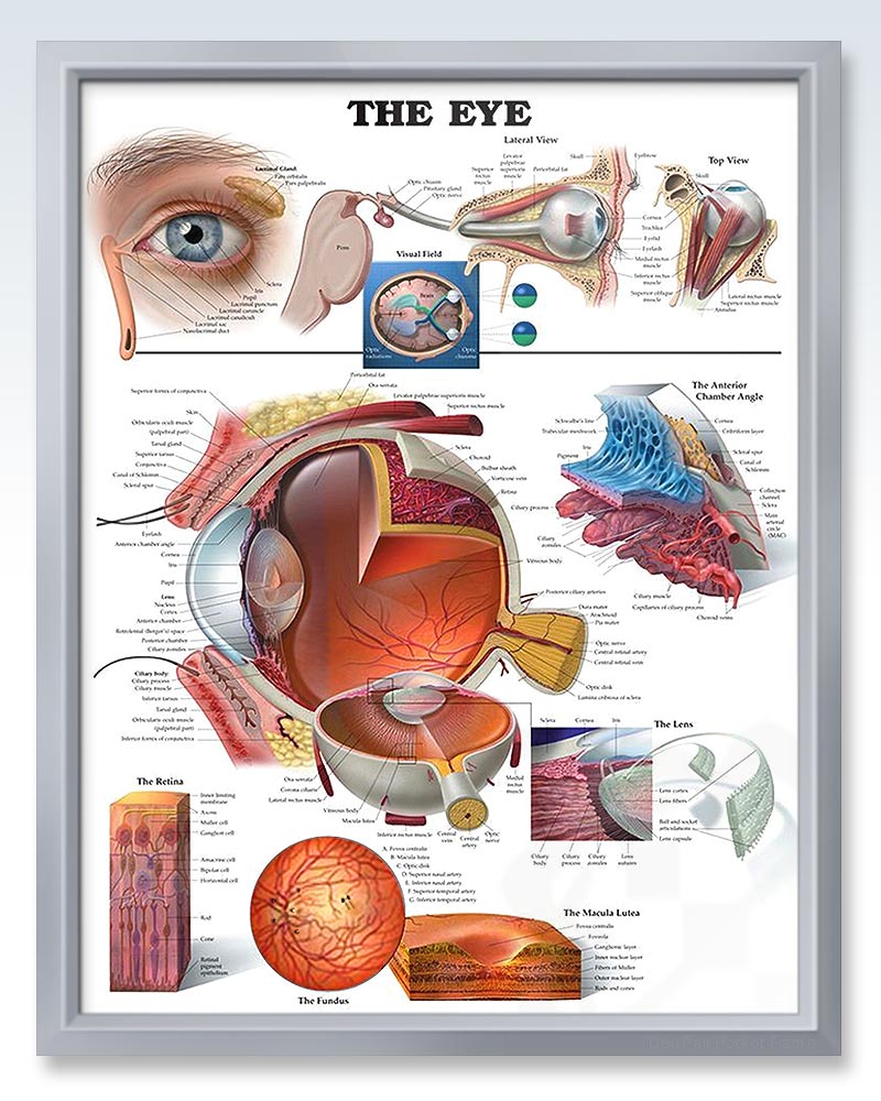 Silver Pocket Frame