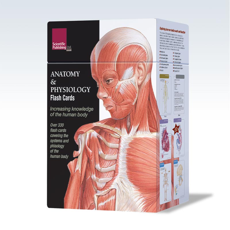 Anatomy and Physiology Flash Cards