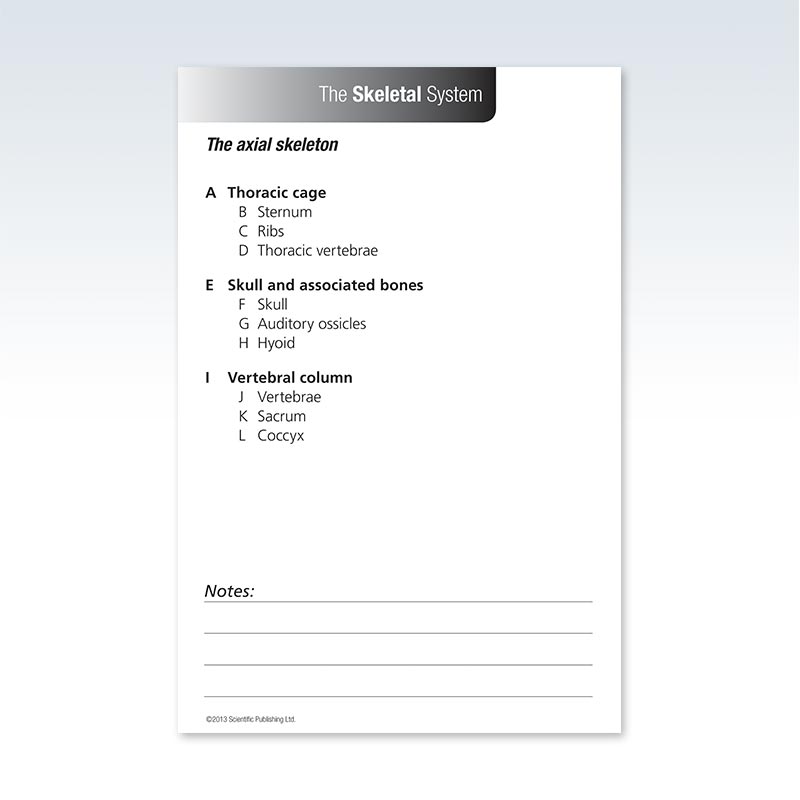 Anatomy Skeletal System Flash Card