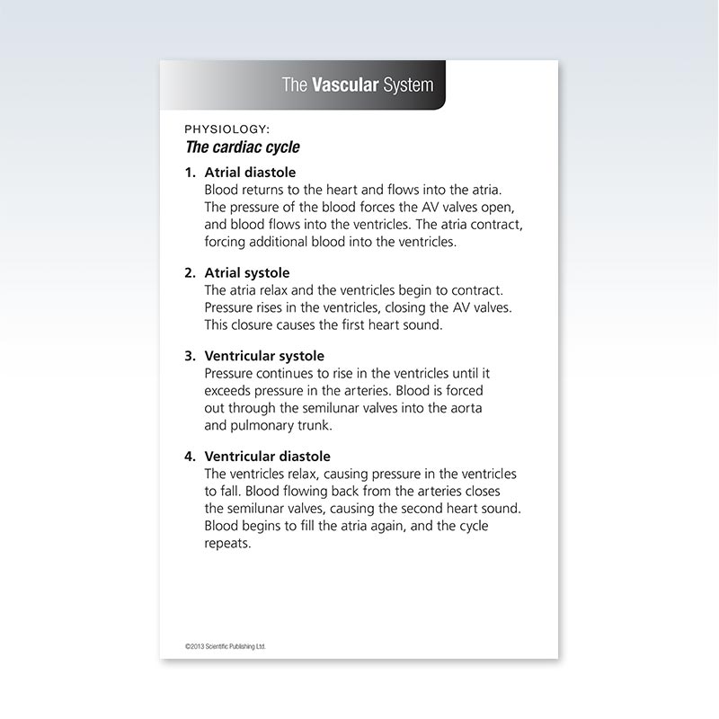Physiology Vascular System Flash Card