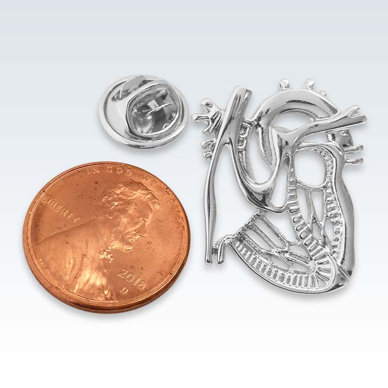 Silver Dissected Heart Lapel Pin Size
