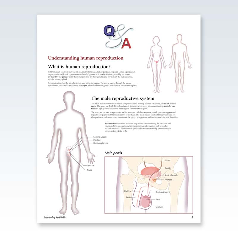 Understanding Men’s Health Flip Chart Page 2