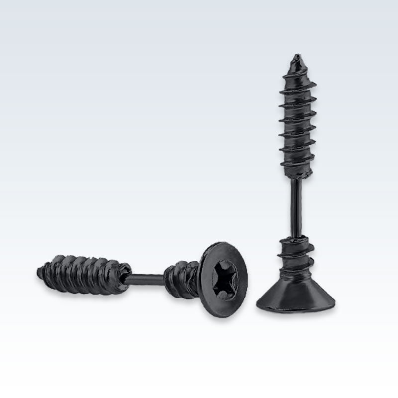 Black Stainless Steel Screw Earring Studs