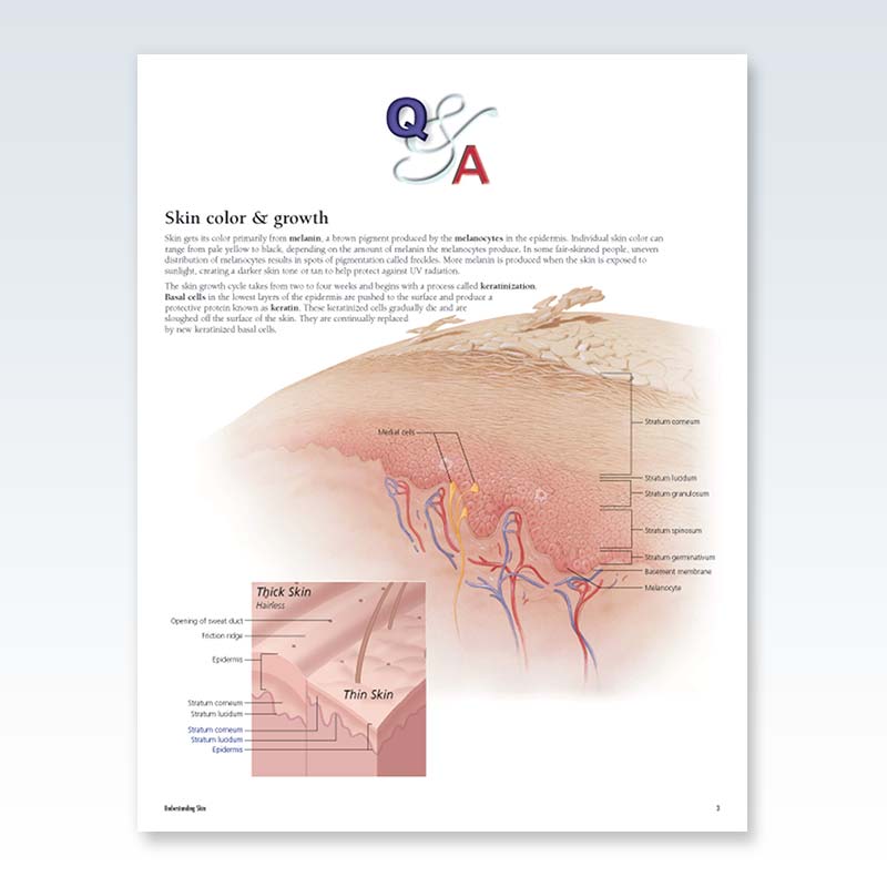 Understanding Skin Flip Chart Page 3