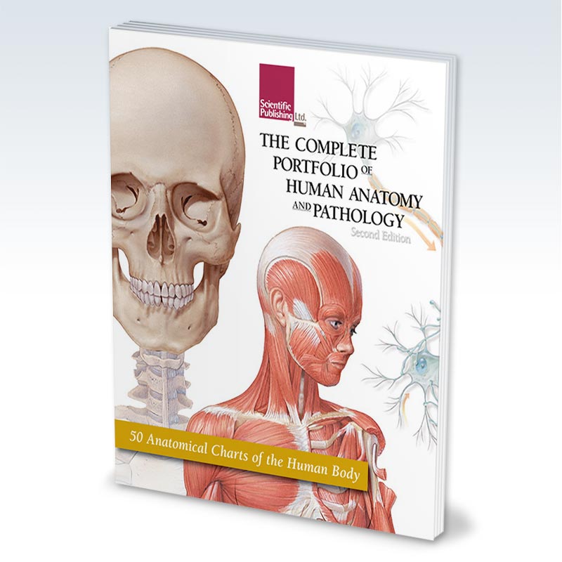Portfolio of Human Anatomy and Pathology book