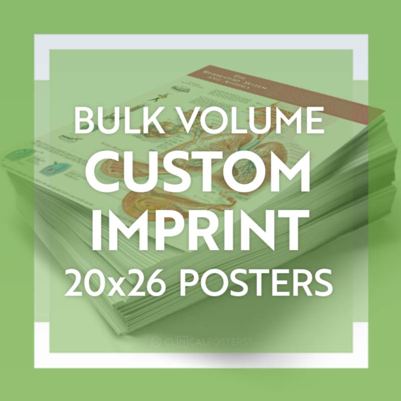 Imprint Bulk Printing 20x26