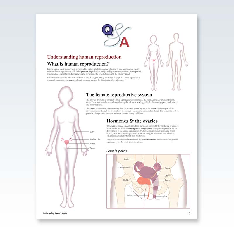 Understanding Women’s Health Flip Chart Page 2