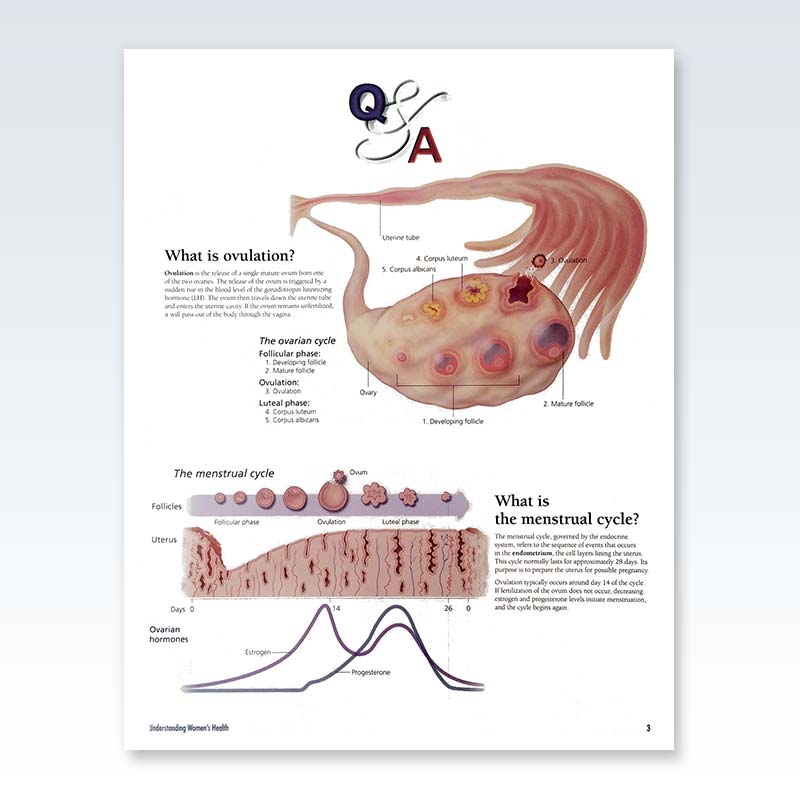 Understanding Women’s Health Flip Chart Page 3