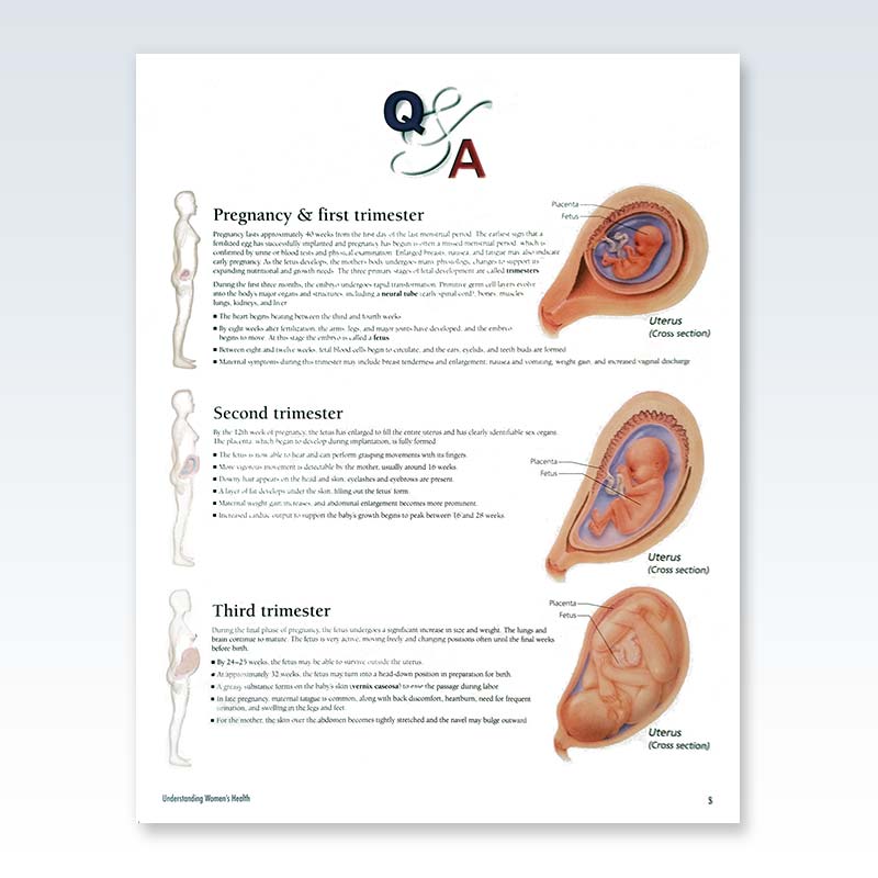 Understanding Women’s Health Flip Chart Page 5