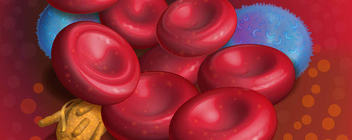 Blood components