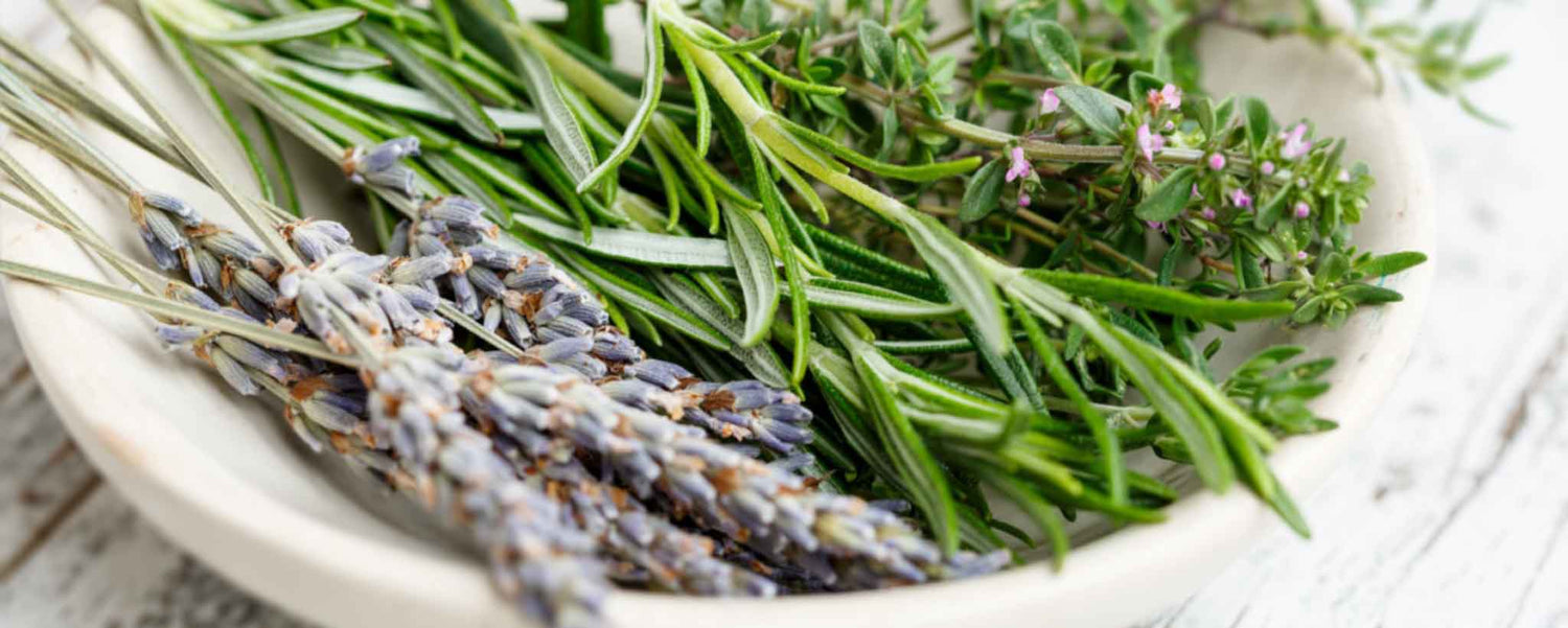 Herbs for Cooking, Not Smoking