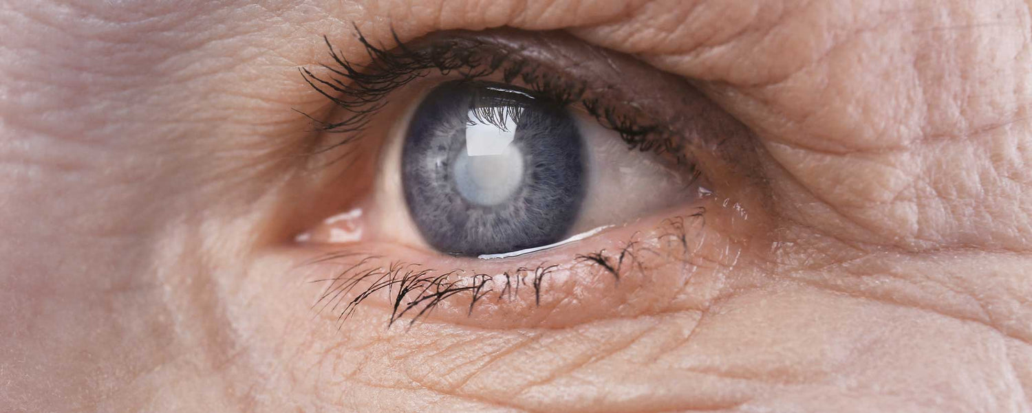 Improve Glaucoma Hindsight