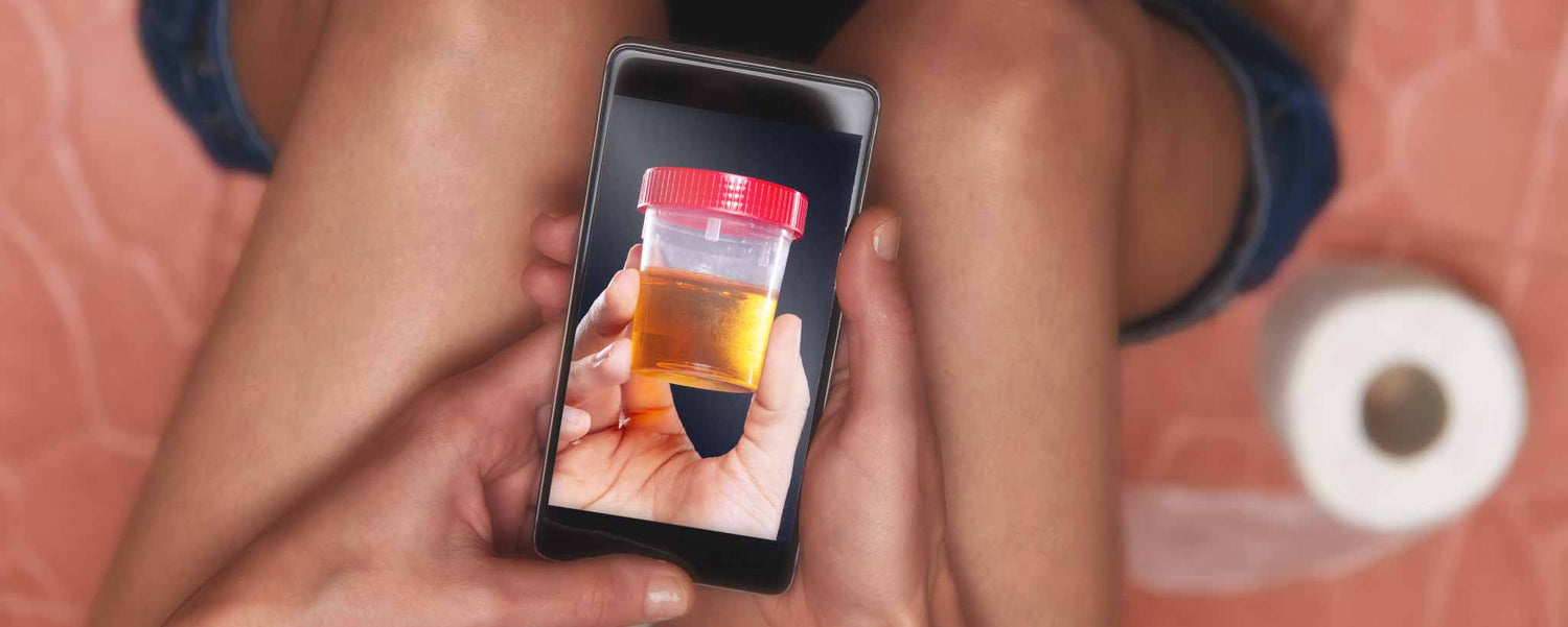 Hands holding smartphone on toilet