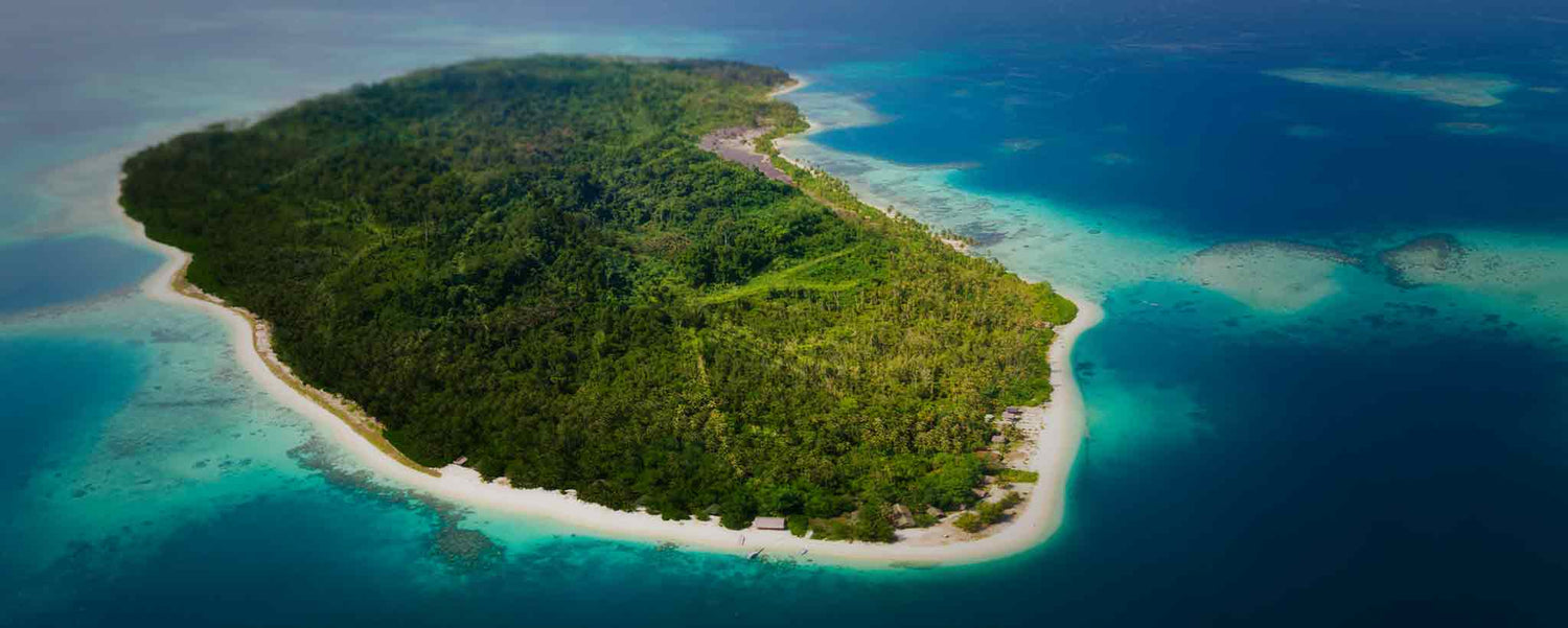 A arial view of a remote island.