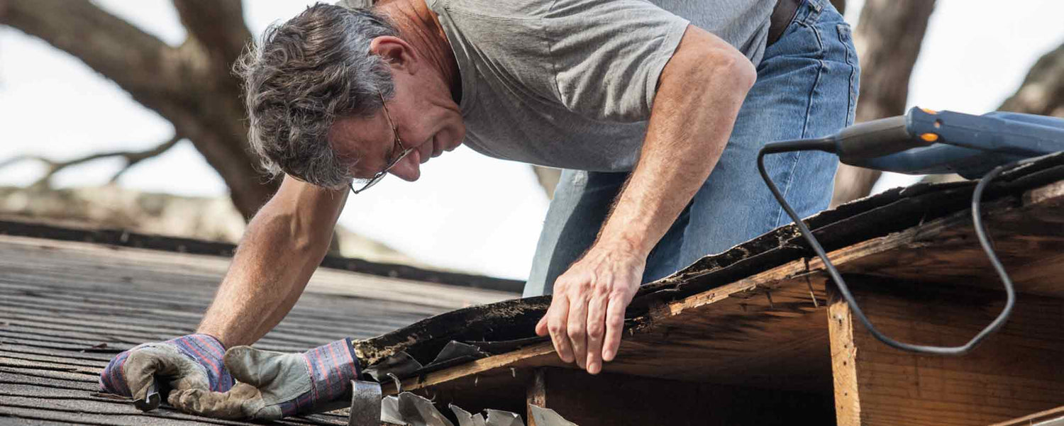 Mold Causes Vertigo and Chronic Fatigue