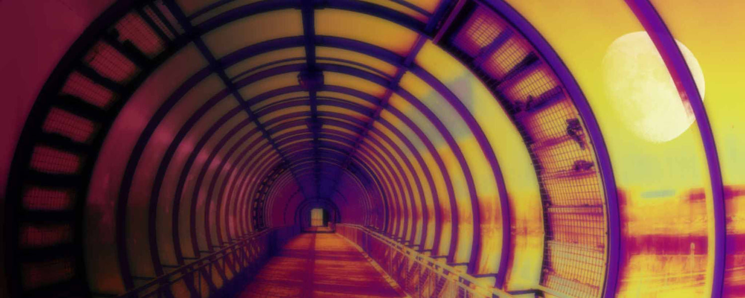 A transparent tubular bridge.