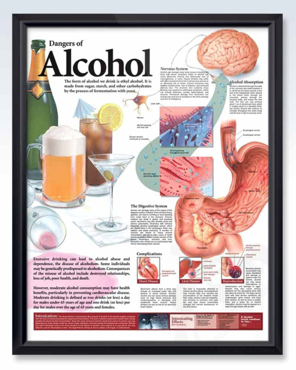 Alcohol Frame Nutrition Human Anatomy Posters | ClinicalPosters
