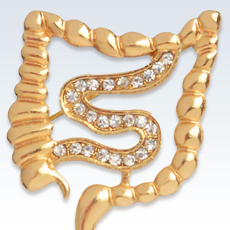 Gastroenterology Gold Lapel Pin Detail