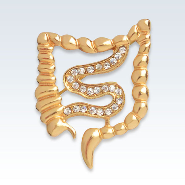 Gastroenterology Gold Lapel Pin