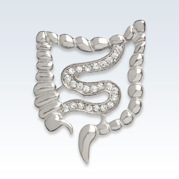 Gastroenterology Silver Lapel Pin