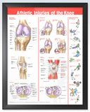 Athletic Knee Injuries Anatomy Poster – ClinicalPosters