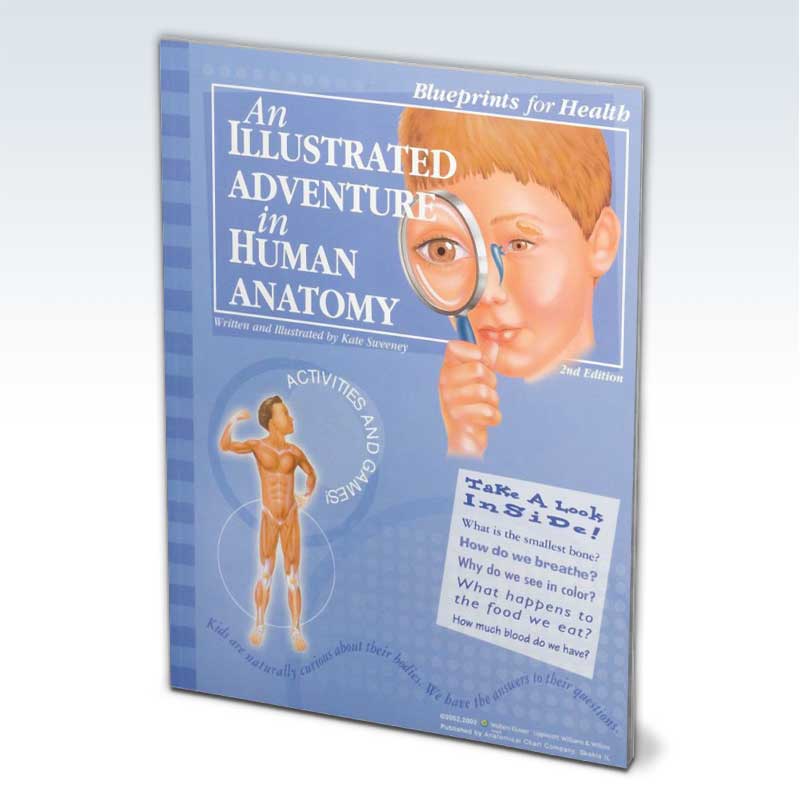 Illustrated Adventure in Human Anatomy Book