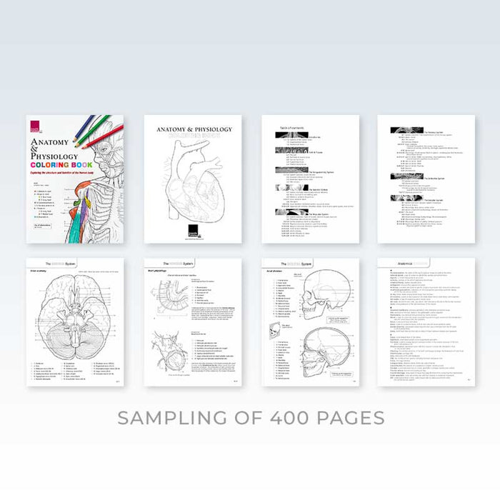 Anatomy & Physiology Coloring Book | ClinicalPosters